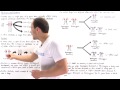 Genetic Concepts and Interactions