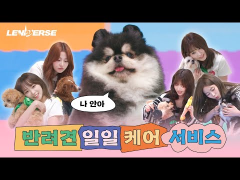 [LENIVERSE] 강아지 펫시터 : 반려견 일일 케어 서비스 l EP.59