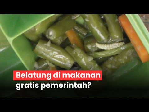 Belatung di makanan gratis pemerintah?