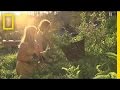 Understanding Your Land for Homesteading
