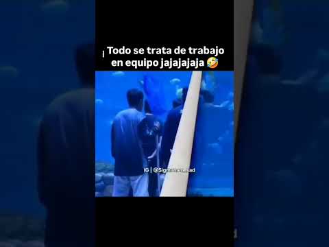trabajp em equipo
