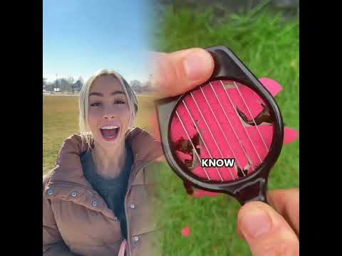 So close.. 🥲 #dogs #dogcomedy