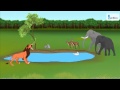 Biomes and Biological Organization Concepts