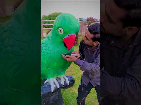 Jadui Toota nay Future bta dia😳 Osama Official 😎 #viralvideo #shortvideo #reels #funny