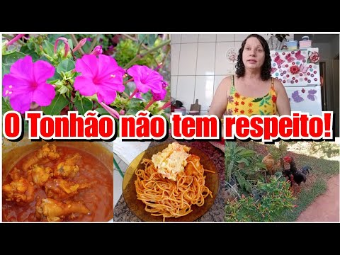 VÍCIO EM APOSTAS ONLINE + ALMOÇO DE DOMINGO ECONOMIZANDO GÁS! Vlog ❤️