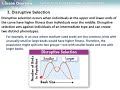 Natural Selection and Genetic Principles