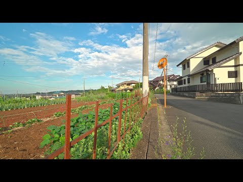 Rural Saitama - Perfect weather in Hidaka, Japan 2025 • 4K