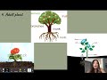 Exploring the Life Cycle of Plants
