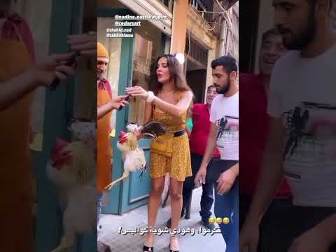 نادين نسيب نجيم مع الديك من كواليس صالون زهرة : بس يا ماما
