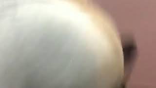 Alicia Bosschic Booty Clap Challenge