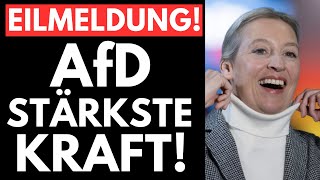 🚨UNFASSBAR! AfD jetzt STÄRKSTE KRAFT - Merz unter DRUCK!🚨