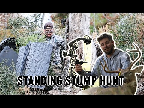 Standing Stump Hunt