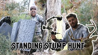 Standing Stump Hunt