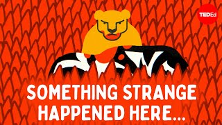 Can you figure out the savanna mystery? - Cella Wright