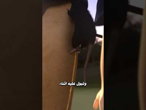 فشل كلوي بسبب بول فأر 😱