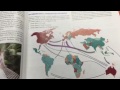 U.S. Immigration and Migration Concepts