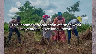 International Day of Peasants’ Struggle: When Recognition Demands Reality