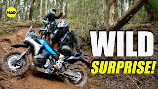 2025 CFMOTO 800 MT-X Review (IBEX 800 MT-X) – First Ride, Dirt Test & Surprising Results