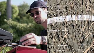 Jordi Sapena - Aloe Vera