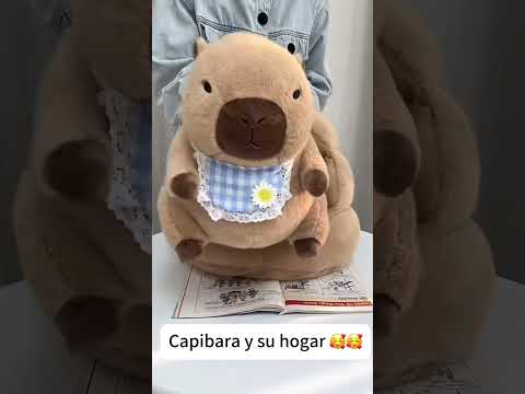 Capibara y su hogar🥰🥰#iboop #iBOOP #capybara #peluches #plush #regalos #gifts #capibara #dolls