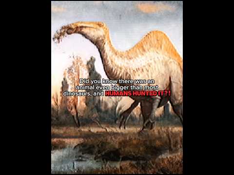 Humans hunted an animal that was even bigger than the dinosaurs?! #earlyhumans #palaeoloxodon
