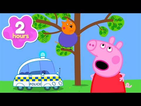 Mr Cat Gets Stuck in a Tree! 🚨 | Peppa Pig Official Full Episodes