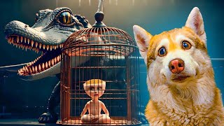 ТОП 3 ЛУЧШИЕ СЕРИИ ЛЕТА! Хаски Бублик Говорящая собака