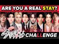 Stray Kids Knowledge Assessment