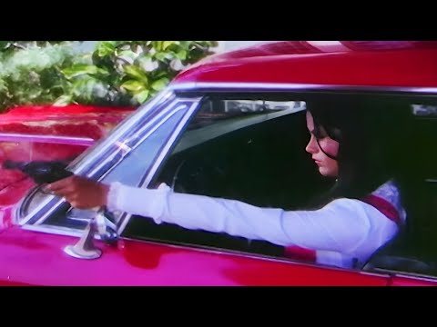 साहूकार के भेस में एक भेड़िया में भी हूँ ठाकुर - Zeenat Aman Dhamakedar Action Scene - Warrant