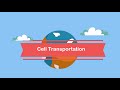 Exploring Cell Transport Mechanisms