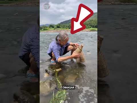 Nenek sayang cucunya. #faktaunik #shorts