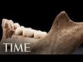 Exploring Cannibalism Evidence in Jamestown's History