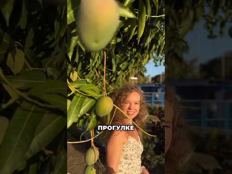 Отпуск стюардессы — День 2 | Куба #путешествия #куба #travel #cuba #varadero
