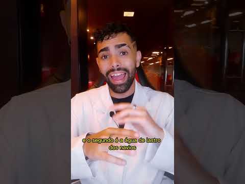 Parte II dos animais invasores! Vem ver 🤨
