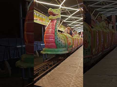 Ram Ram camel music 🐪🎶✨🚂🎉#hores #riding #cute #funnybaby viral #youtubeshorts