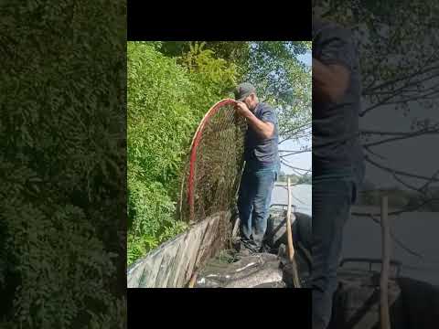 12/9 YAYIN BALIGI BOLLUĞU ve AVI-SAZAN AVI-SERPME İLE BALIK AVI-balik avi-balık avı #carpfishing