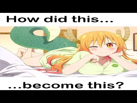 DRAGON MAID MEMES