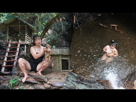 70 Day: Build Log Shelter, Cooking, Surviving....A Girl & A Dog In the Rainforest. Timelapse