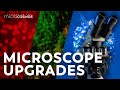 Microscopy Techniques and Microcosmos Exploration