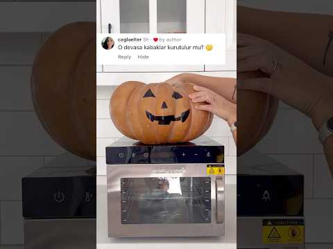 Devasa kabaklar kurutulur mu? #kabak #kurutucu #helvacikabagi #pratiktarifler  #dehydrator #pumpkin