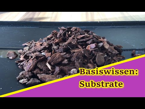 Basiswissen: Substrate für Orchideen