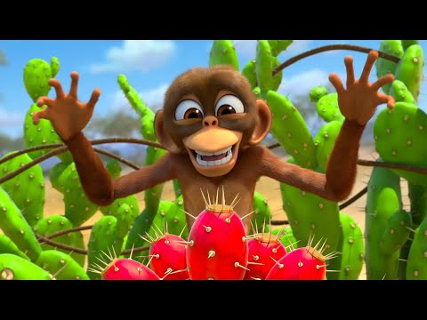 Objetos perdidos y encontrados | Jungle Beat: Munki & Trunk | Dibujos animados infantiles 2025