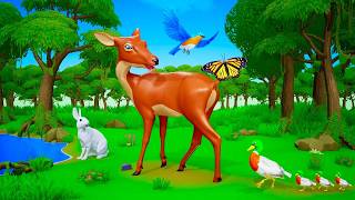 Deer and Rabbit’s Fun Jungle Ride & Joyful Food Adventure!