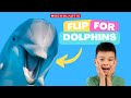 Dolphin Facts and Characteristics