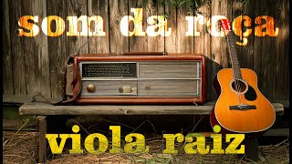🔴 VIOLA CAIPIRA RAIZ - O Melhor da Moda De Viola - Pra matar a Saudade - Sertanejo Raiz #top10