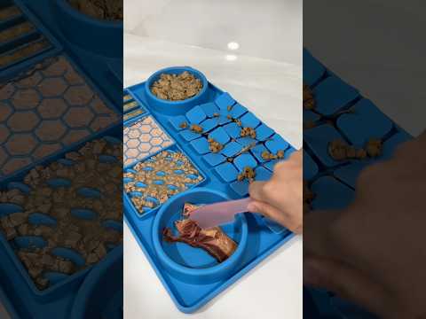 Enrichmat mat 😻 #enrichment #asmr