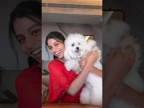 Suhana Khan play with Puppy l #shorts #shortvideo