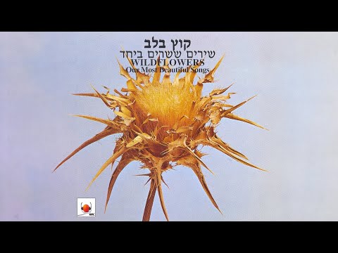 יהורם גאון - שנינו מאותו הכפר