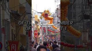 Japan’s BIGGEST Chinatown Is Incredible!