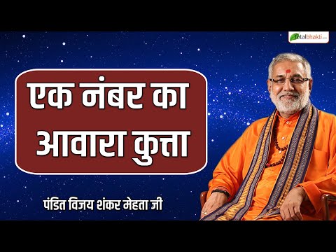 एक नंबर का आवारा कुत्ता | Thoughts | Pandit Vijay Shankar Mehta Ji